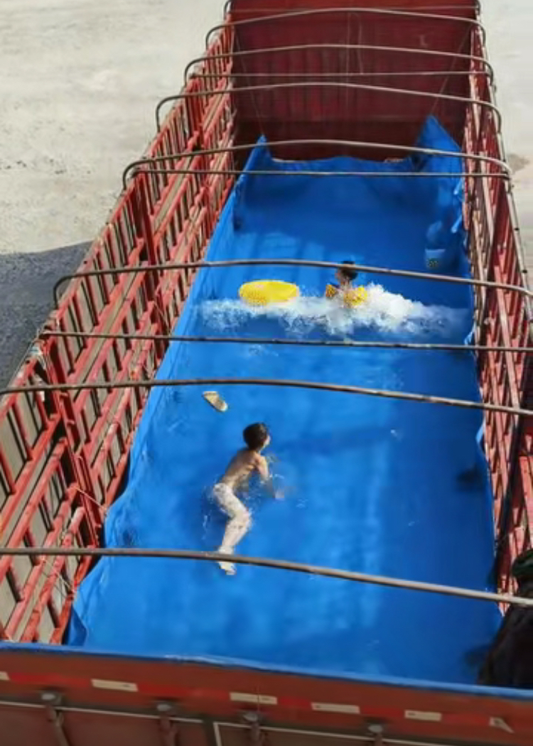 关于游泳热度飙升，网友热议不断的信息