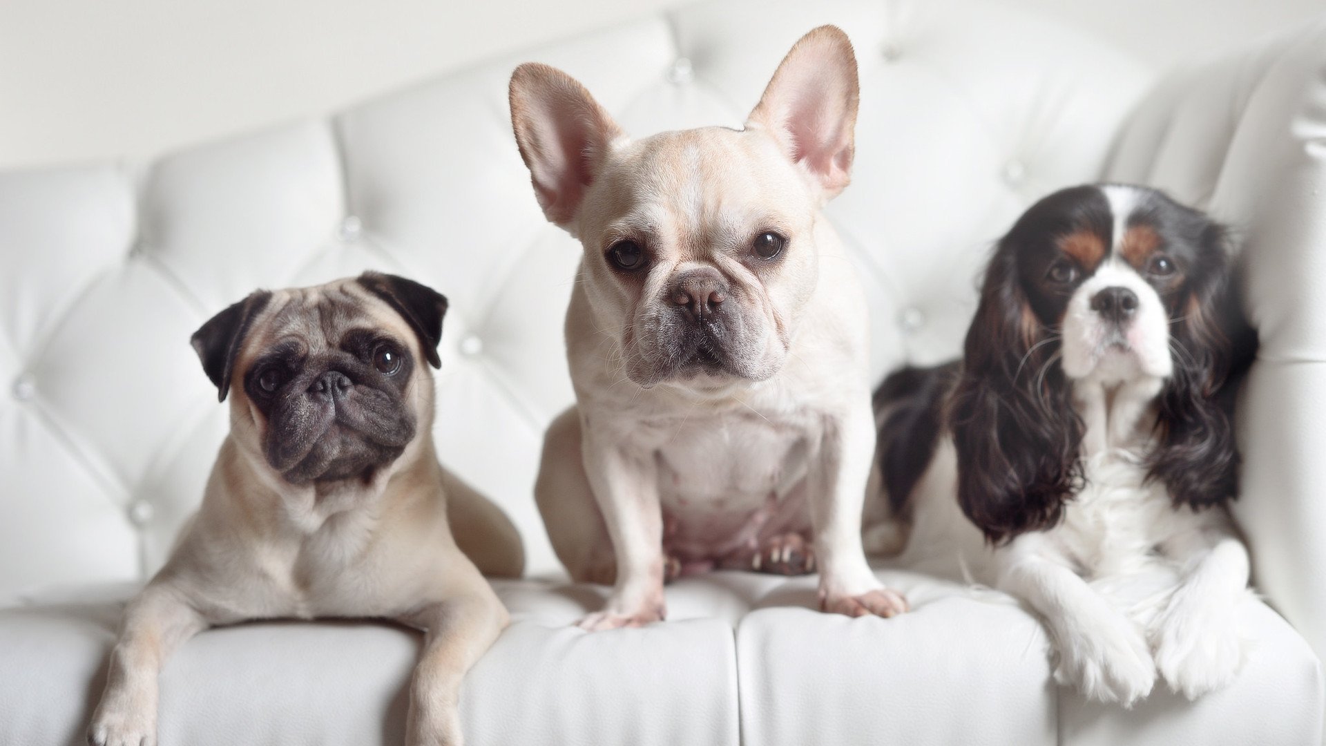 哈弗茨,用优雅统治战场—西班牙对阵爱尔兰的全能枢纽解析