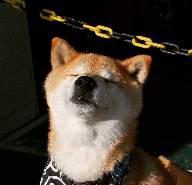 开云体育中国-破壁，巴斯托尼的觉醒与皇马的欧冠逆转之钥