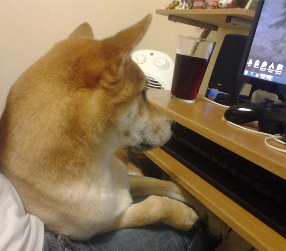 开云体育官网-大场面先生杰伦·布伦森独木难支，雄鹿团队发力客场力克尼克斯