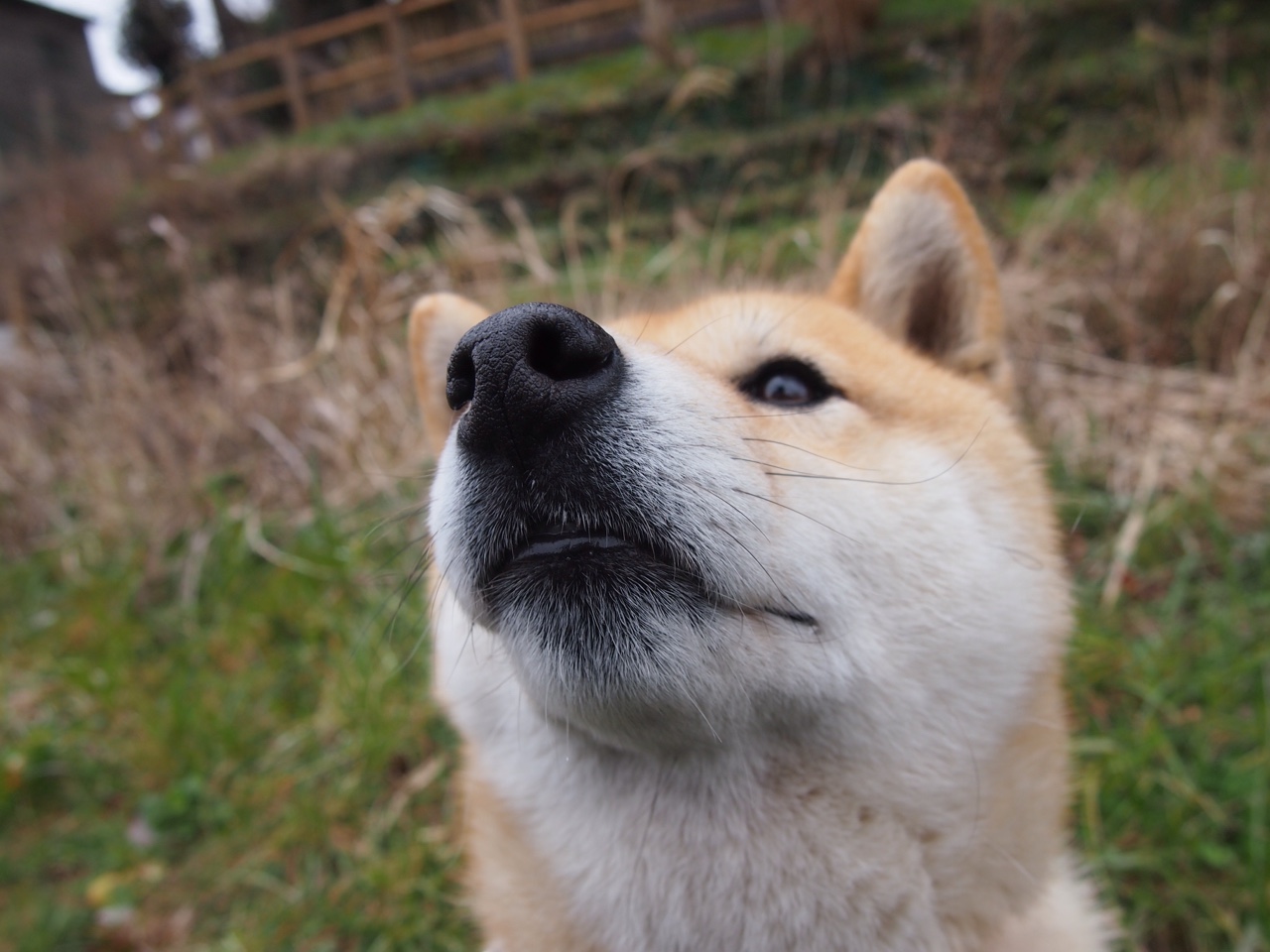 中场革命,从卡马文加的完美拼图到巴萨的体系收割