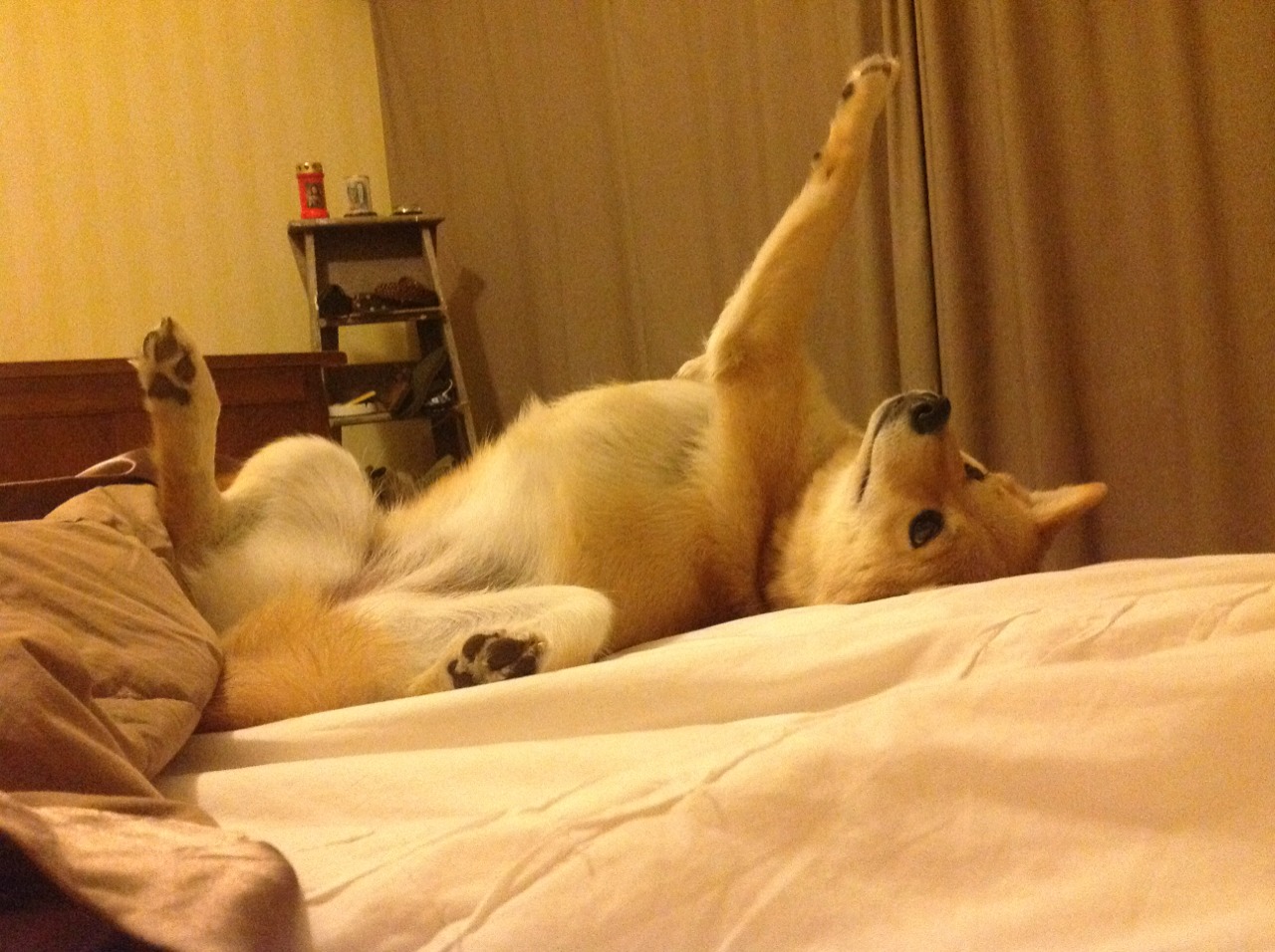 锁死！秘鲁的防守绞索如何让雷恩窒息于世界排名争夺焦点战