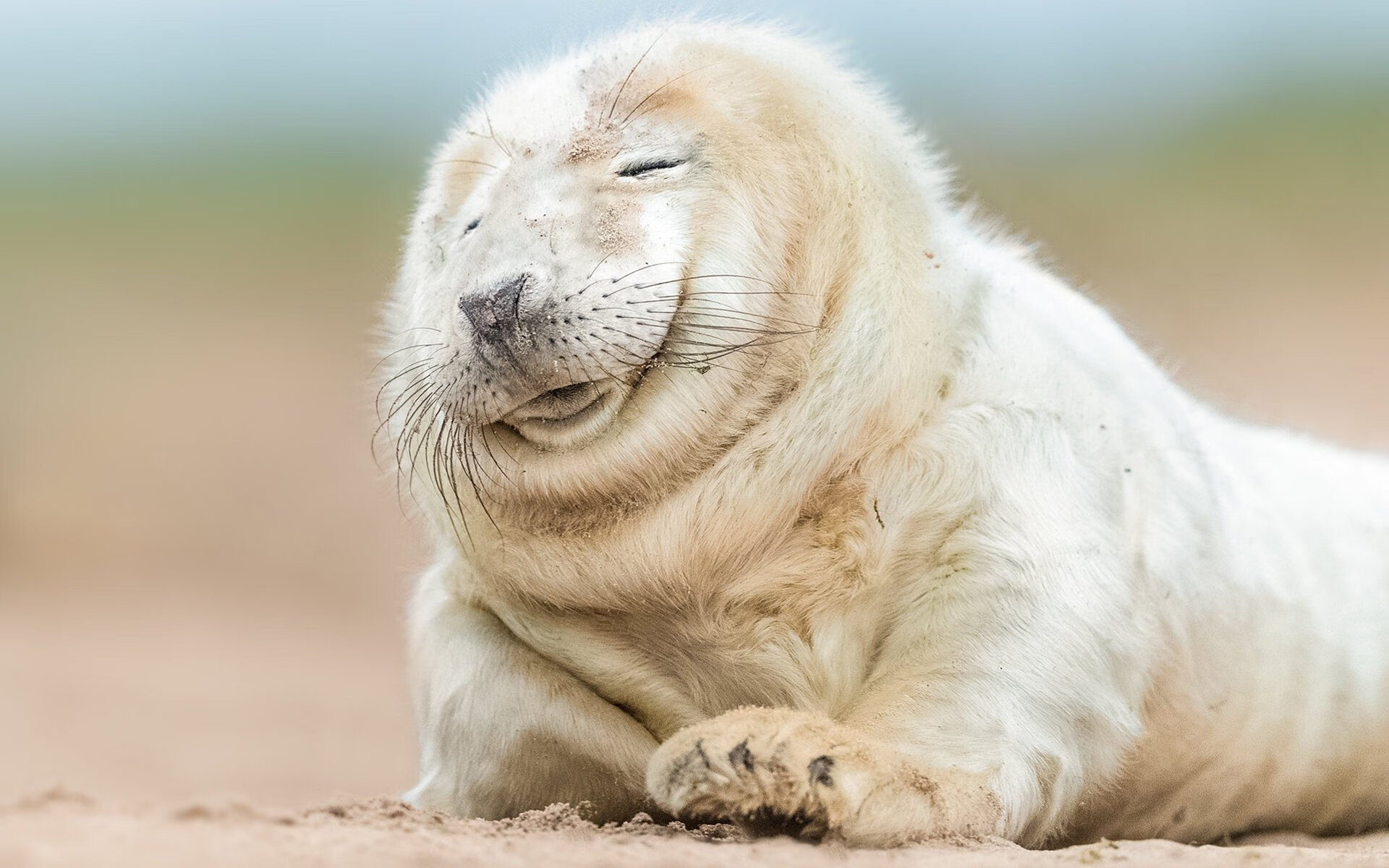 末节之王！托尼神兵天降，切尔西逆转瑞典传奇赛