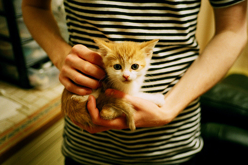 绿茵双城记,欧冠精英的冰火博弈与墨西哥高原的冠军怒吼