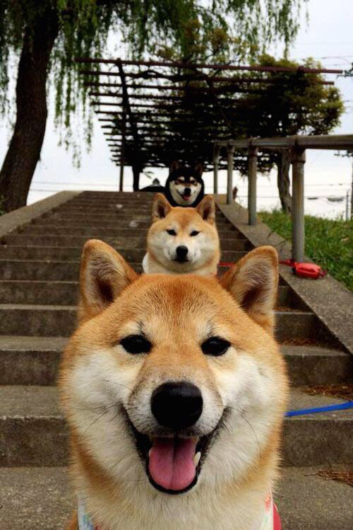 孔德加冕之夜，摩纳哥用钢铁意志粉碎皇家社会，攻防两端铸就王冠