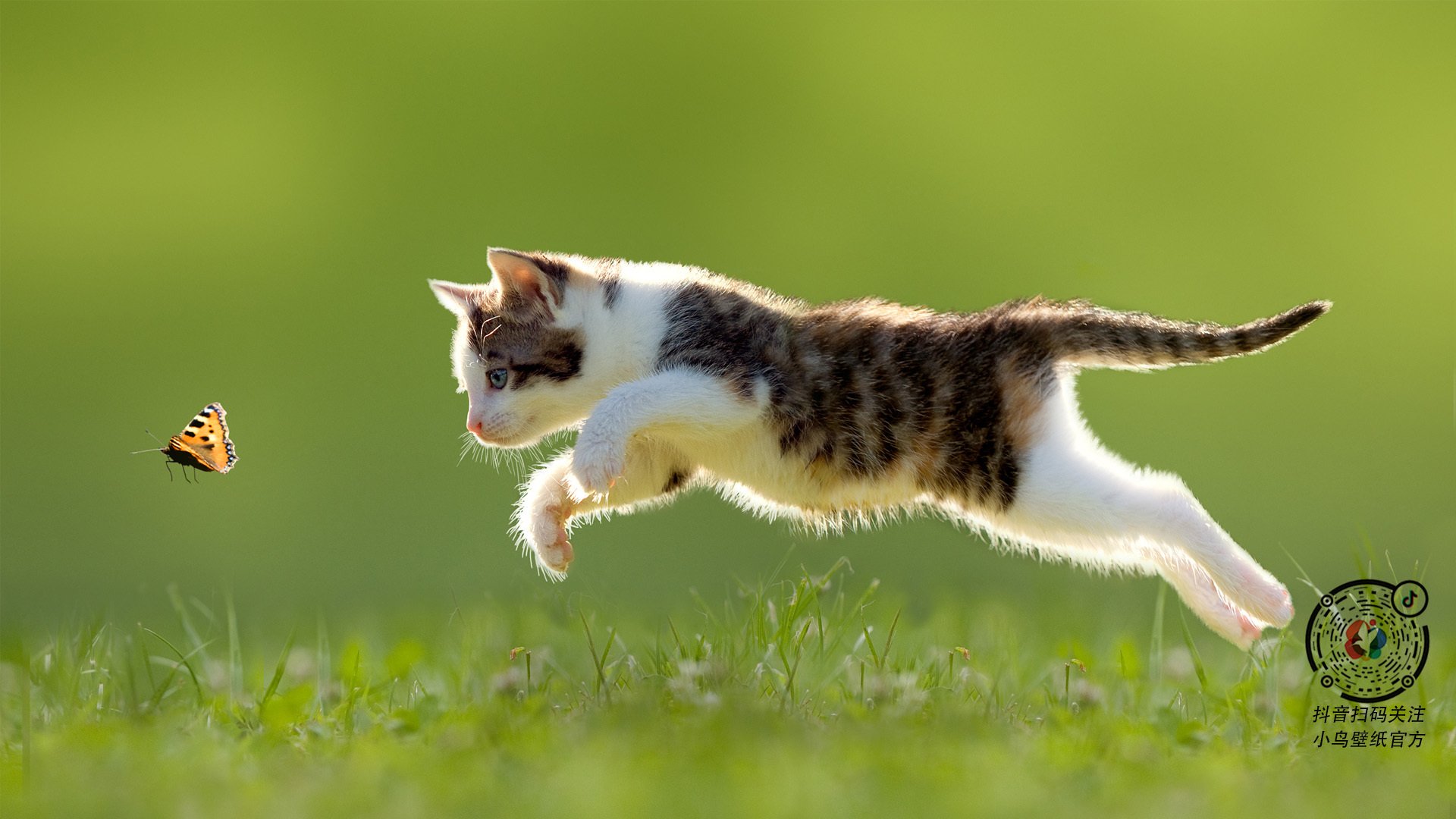 开云体育官网-灰熊队正面击溃新疆队，德罗赞在焦点战中证明自己