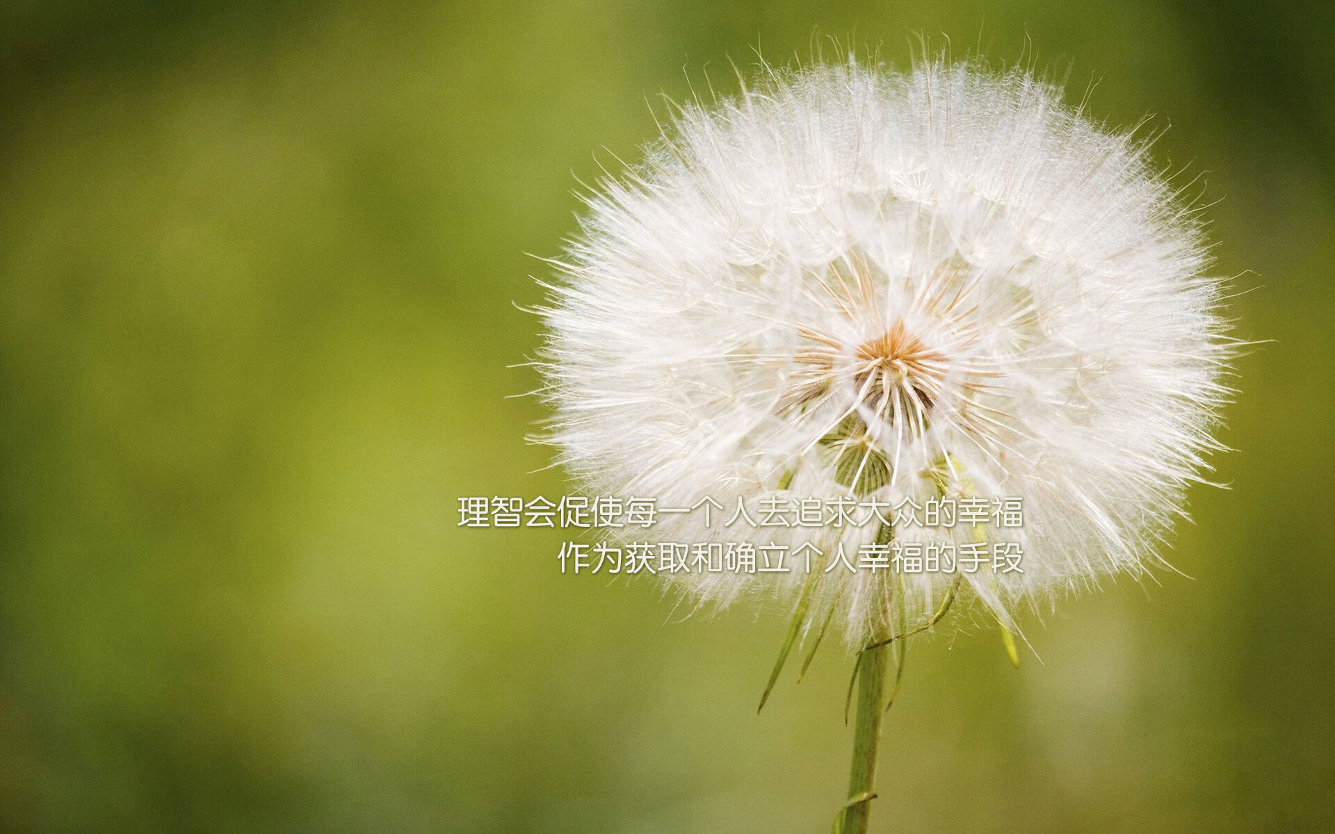 NBA总决赛焦点战，骑士惊天爆冷力克湖人，逆境之战改写历史篇章