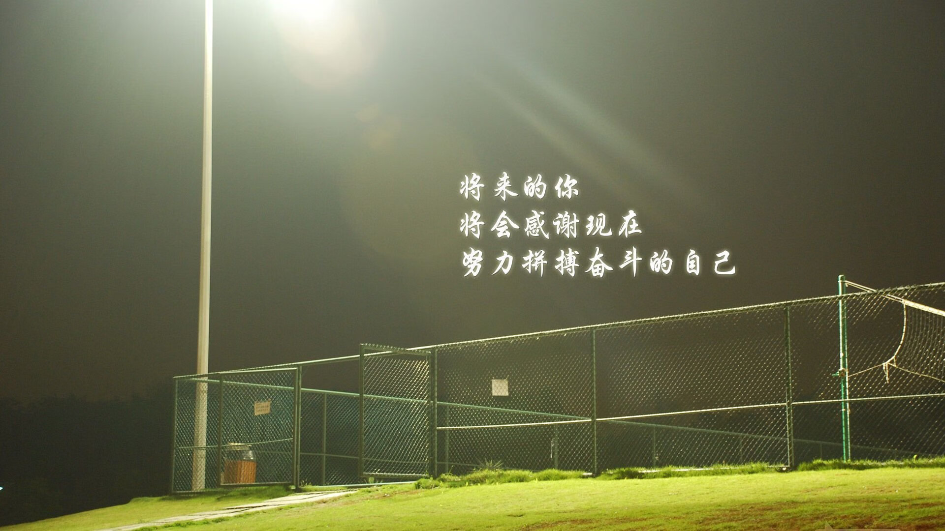开云APP-2026世界杯历史重演，越南横扫韩国，齐耶赫完成致命一击