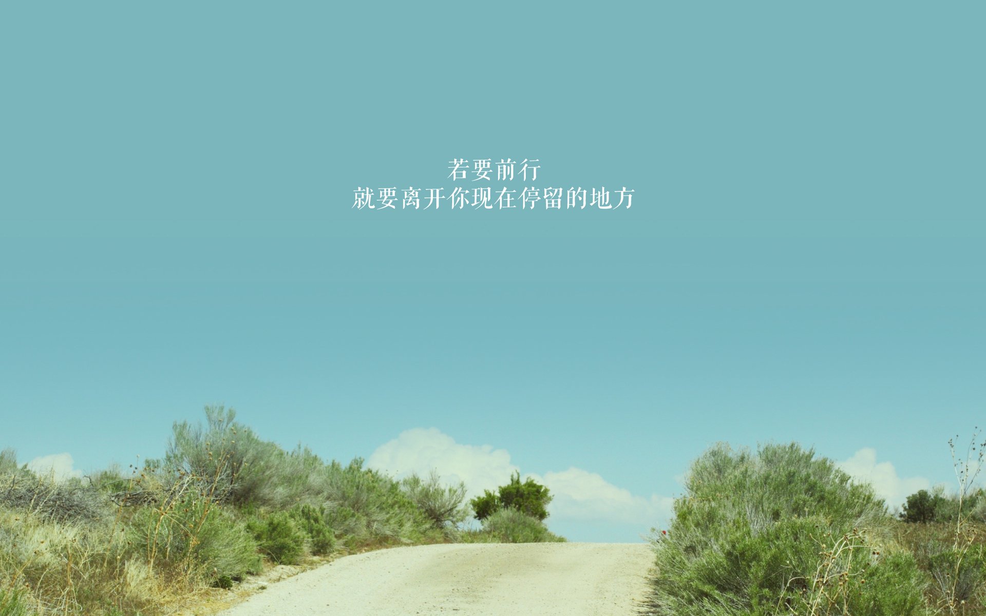 魔幻之夜，萨卡导演逆转大戏，罗马尼亚绝杀奥地利引爆D组悬念
